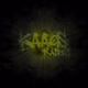 Kaaosradio - Live logo