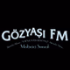 Konya Gözyaşı FM logo