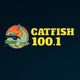 Catfish 100.1 - WTBC logo