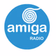 Amiga Radio Nerja 101.8 logo