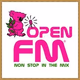 OPENFM logo