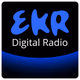 EKR - Retro Rock logo