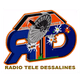 Radio Tele Dessalines logo