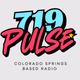 719 Pulse logo