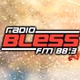 Radio Bless FM logo