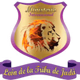 Radio Leon de la Tribu de Juda logo