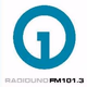 Radio UNO FM 101.3 logo