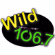 Wild 106.7 logo