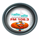 Radio Audio logo