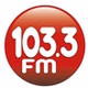 Rádio Liderança FM 103.3 logo