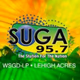 SUGA 95.7 FM Radio Station - WSGD-LP logo