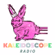 Kaleidoscope logo