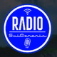 Radio Suigeneris logo