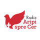 Radio Crestin Aripi Spre Cer - International logo
