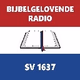 Bijbelgelovende Radio logo