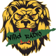ViiLD Reggae logo