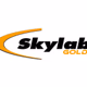 Radio Skylab - Skylab Gold logo