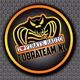 Cobra Team Radio logo