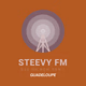 Steevy FM logo