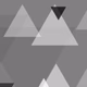 Anoma FM logo