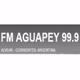 Radio Aguapey 99.9 logo