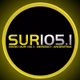 Radio Sur logo