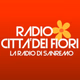 Radio Città dei Fiori logo