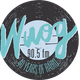 WUOG 90.5 FM - WUOG logo