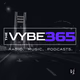 The Vibelyfe - THEVYBE365 logo