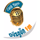 Düzgün FM logo