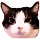 Kmeo The Meow logo