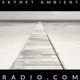 Skynet Ambient Radio logo
