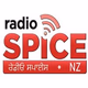 Radio Spice 88.0 logo