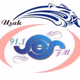 Ses FM logo