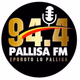 94.1 Pallisa FM logo