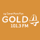 Gold 101.3 FM logo