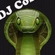 DJ Cobricio HiT Radio logo