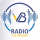 Radio Voz Brüning logo