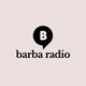 barba radio - & radio. By barba radio logo