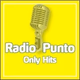 Radio Punto - Hits Channel logo