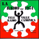 Radio Valle Camonica logo