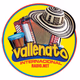 Vallenato Internacional Radio logo