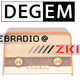DEGEM Web Radio logo