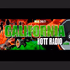Downtown Hott Radio - California Hott Radio logo
