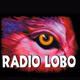 Radio Lobo 97.7 - KLVO logo
