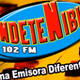 Indetenible102 logo