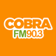Rádio Cobra FM 90.3 logo