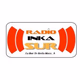Radio Inkasur logo