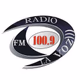 Radio La Voz logo