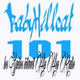 Babyhillcat 101 logo